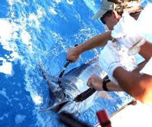 Data Logger survives 5 years at sea